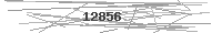 Verification Image