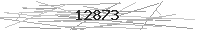 Verification Image
