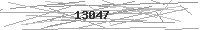 Verification Image