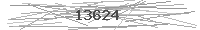 Verification Image
