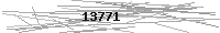 Verification Image