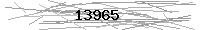 Verification Image