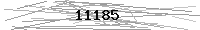 Verification Image