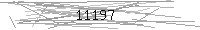 Verification Image