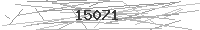 Verification Image