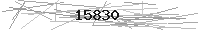 Verification Image