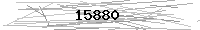 Verification Image