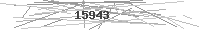 Verification Image