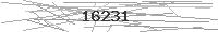 Verification Image
