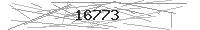 Verification Image