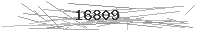 Verification Image