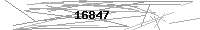 Verification Image