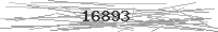 Verification Image