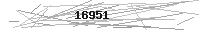 Verification Image