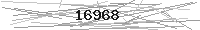 Verification Image