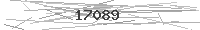 Verification Image