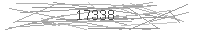 Verification Image