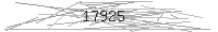 Verification Image