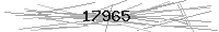 Verification Image