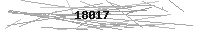 Verification Image