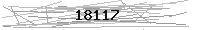 Verification Image