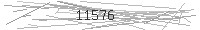 Verification Image