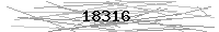 Verification Image