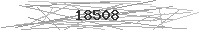 Verification Image