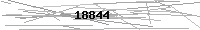 Verification Image