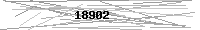 Verification Image