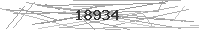 Verification Image