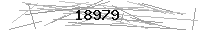 Verification Image