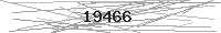 Verification Image
