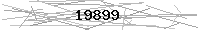 Verification Image
