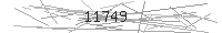 Verification Image