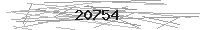 Verification Image