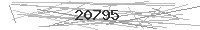 Verification Image