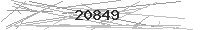 Verification Image