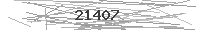 Verification Image