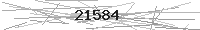 Verification Image