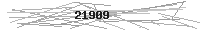 Verification Image