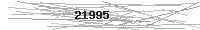 Verification Image