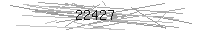 Verification Image