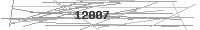 Verification Image