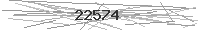 Verification Image