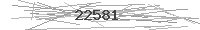 Verification Image