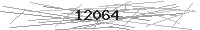 Verification Image