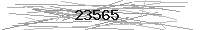 Verification Image