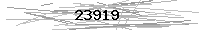 Verification Image