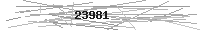 Verification Image